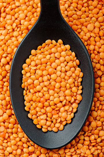 Red Lentil Bulk Per Kg Price